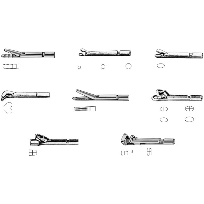Alligator Forceps