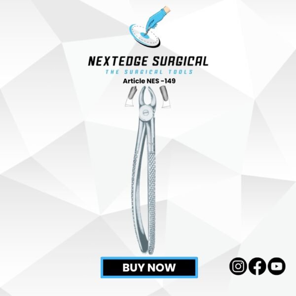 Children’s Upper Molars Right Article NES -149