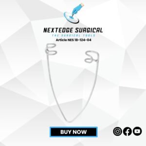 Article NES 18-124-04