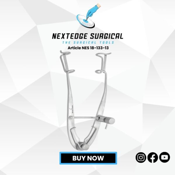 Article NES 18-133-13