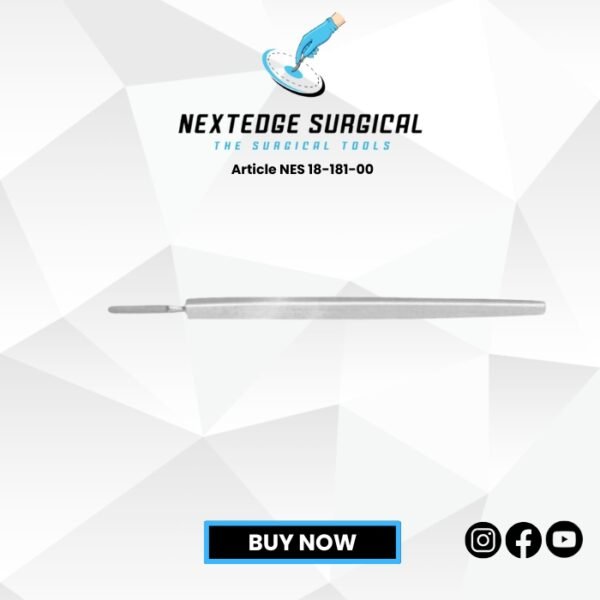 Article NES 18-181-00