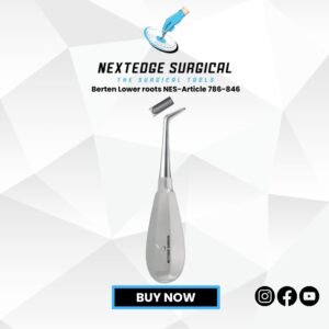 Berten Lower roots NES-Article 786-846