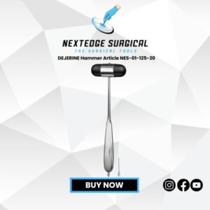 DEJERINE Hammer Article NES-01-125-20