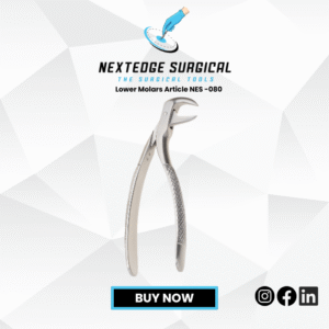 Lower Molars Forceps Article NES -080