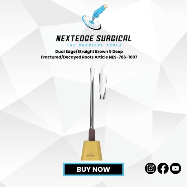 Dual Edge/Straight Brown 5 Deep Fractured/Decayed Roots Article NES-786-1007