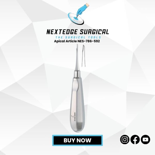 Apical Article NES-786-592