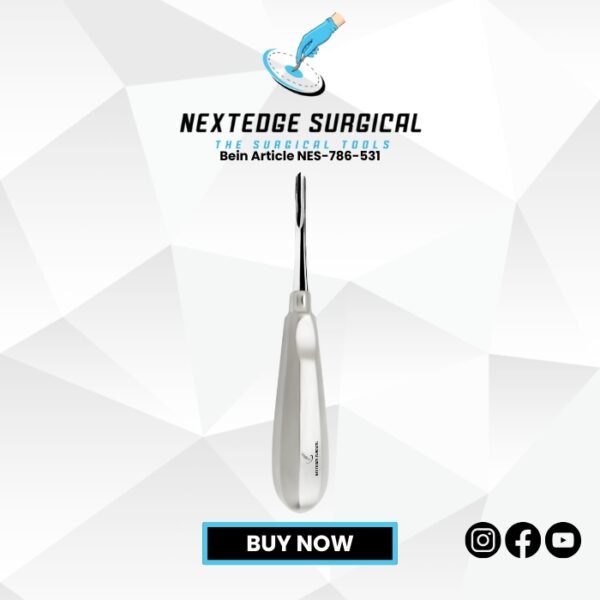 Bein Article NES-786-531