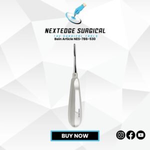 Bein Article NES-786-530