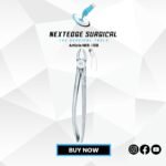 Children’s Upper Teeth Molars Universal Article NES -138