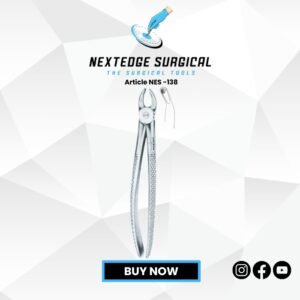 Children’s Upper Teeth Molars Universal Article NES -138