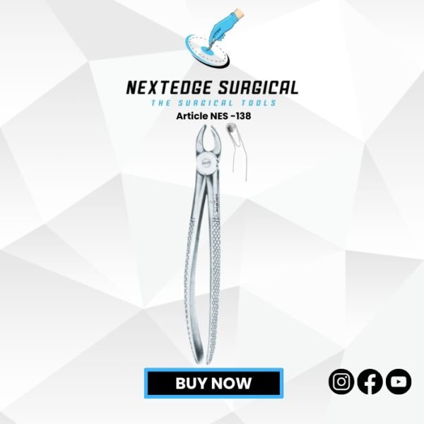 Children’s Upper Teeth Molars Universal Article NES -138