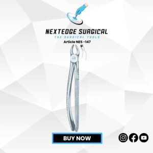 Children’s Upper Molars Universal Article NES -147