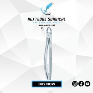 Children’s Upper Molars Universal Article NES -148