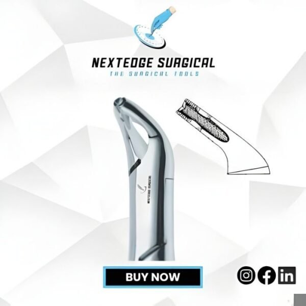 Serrated Beak Lower Anterior Split Beaks NES - Article 786-249