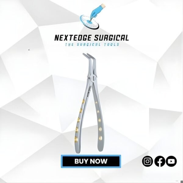 Apex Forceps Lower Roots Deep Root Pick NES - Article 786-241