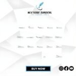 Alligator Forceps Article NES-12-985-00 Article NES-12-986-00 Article NES-12-987-00 Article NES-12-988-00 Article NES-12-989-00