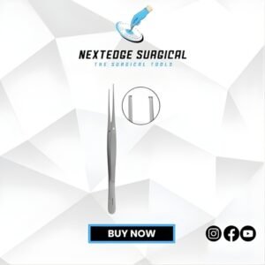 Taylor Tissue Forceps Article NES 05-171-17