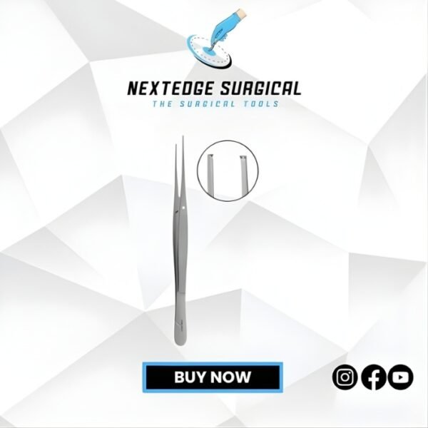 Taylor Tissue Forceps Article NES 05-171-17