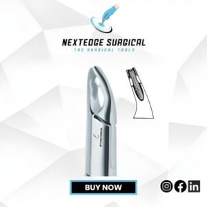 Serrated Beak Upper Anterior Split Beaks NES - Article 786-248