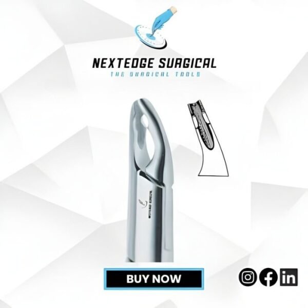 Serrated Beak Upper Anterior Split Beaks NES - Article 786-248