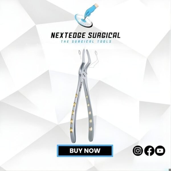 Apex Forceps Upper Roots Deep Root Pick NES - Article 786-240