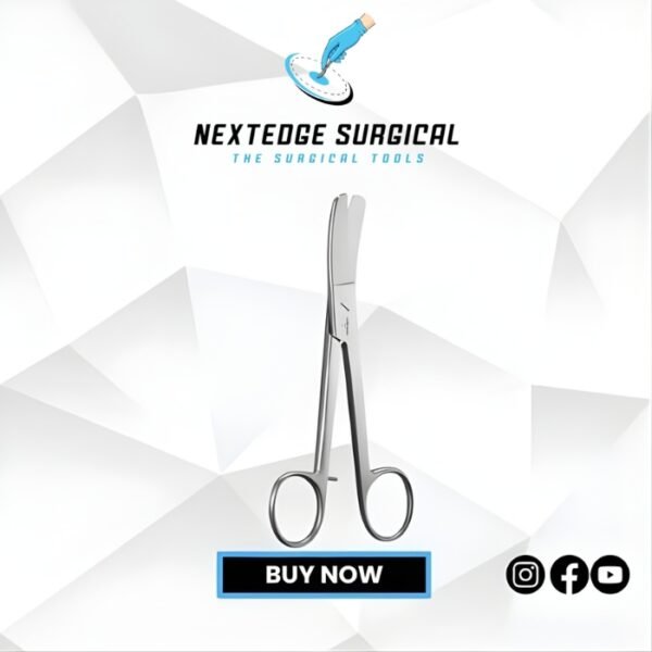 Lorenz Pla Article NES-04-862-23