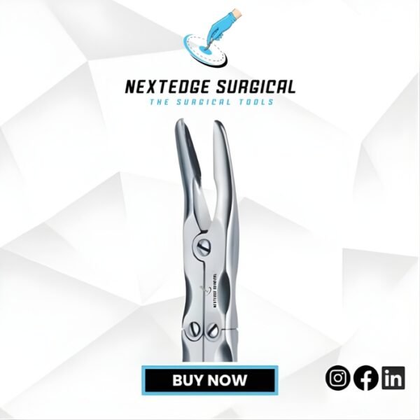 Beyer Article NES-786-466