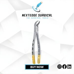 Cow Horn Lower Molars Article NES-786-436