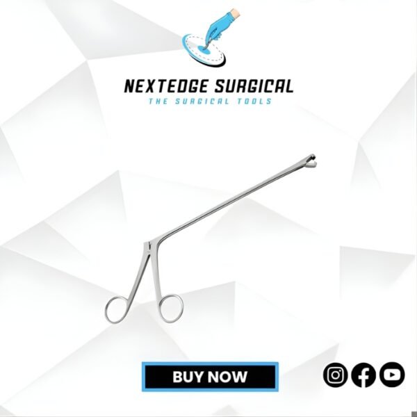 Berger  Article NES-14-439-20