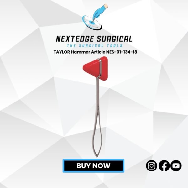 TAYLOR Hammer Article NES-01-134-18