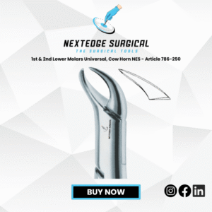 1st & 2nd Lower Molars Universal, Cow Horn NES - Article 786-250