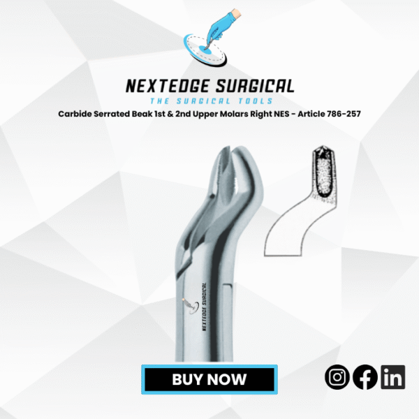 Carbide Serrated Beak 1st & 2nd Upper Molars Right NES - Article 786-257