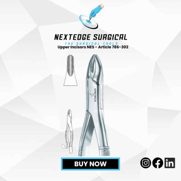 Upper Incisors NES - Article 786-302