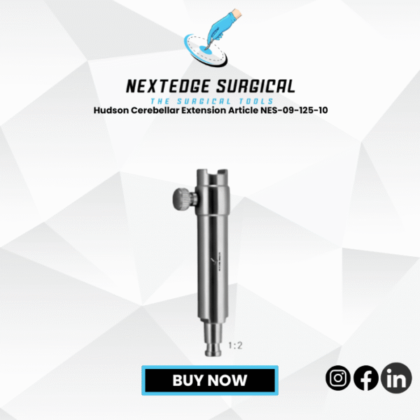 Hudson Cerebellar Extension Article NES-09-125-10