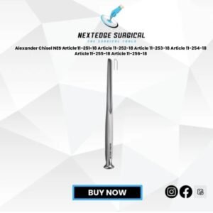 Alexander Chisel NES Article 11-251-18 Article 11-252-18 Article 11-253-18 Article 11-254-18 Article 11-255-18 Article 11-256-18