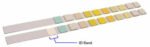 Multistix 10 SG Reagent Test Strips 100/Bottle - Image 2